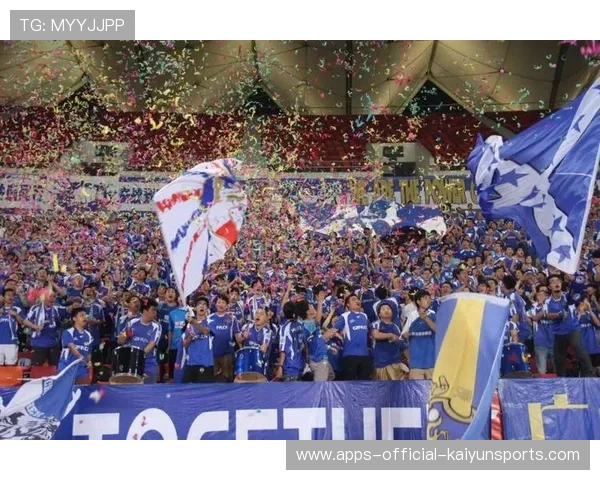 球迷文化多样性成为世界足球特色之一,足球球迷的定义 球迷文化多样性成为世界足球特色之一,足球球迷的定义