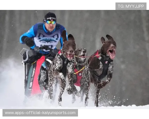 雪橇锦标：俄罗斯队稳居金牌，冲击纪录！，俄罗斯雪橇犬