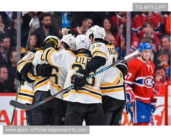 NHL 官方通报：由于昨日观众冲突，波士顿棕熊队主场将面临部分看台禁赛的处罚。