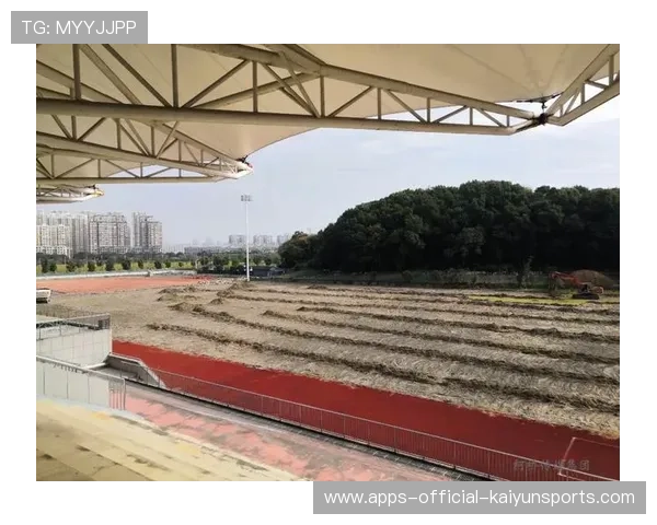 足球场馆多语种导览内容的版权与采购注意事项，足球场馆英文